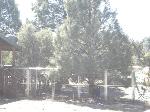 2817 Kelton Cir, Overgaard, AZ 85933 photo 9