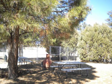 2817 Kelton Cir, Overgaard, AZ 85933 photo 11