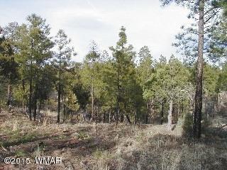 2014 Judy Ranch Rd, Overgaard, AZ 85933 photo 5