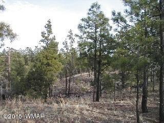2014 Judy Ranch Rd, Overgaard, AZ 85933 photo 3