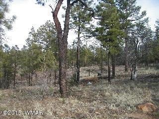 2014 Judy Ranch Rd, Overgaard, AZ 85933 photo 2