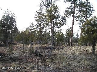 2014 Judy Ranch Rd, Overgaard, AZ 85933 photo 4