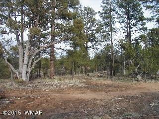 2014 Judy Ranch Rd, Overgaard, AZ 85933 photo 1