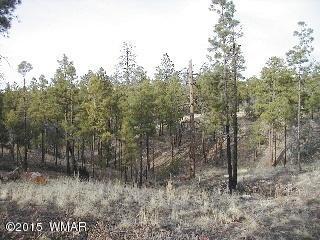 2014 Judy Ranch Rd, Overgaard, AZ 85933 photo 6