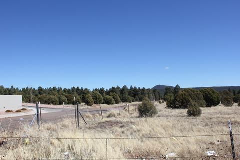 160 E Hunt Dr # r, Show Low, AZ 85901