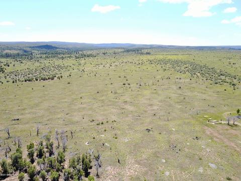 3551 Juniper Break Trl, Overgaard, AZ 85933 photo 13