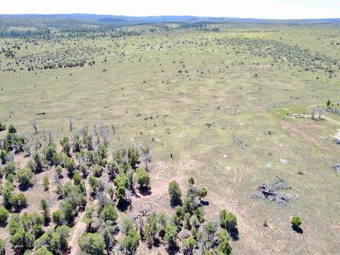 3551 Juniper Break Trl, Overgaard, AZ 85933 photo 10