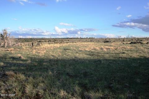 3551 Juniper Break Trl, Overgaard, AZ 85933 photo 3