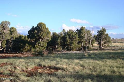 3551 Juniper Break Trl, Overgaard, AZ 85933 photo 1