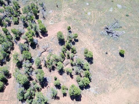 3551 Juniper Break Trl, Overgaard, AZ 85933 photo 11