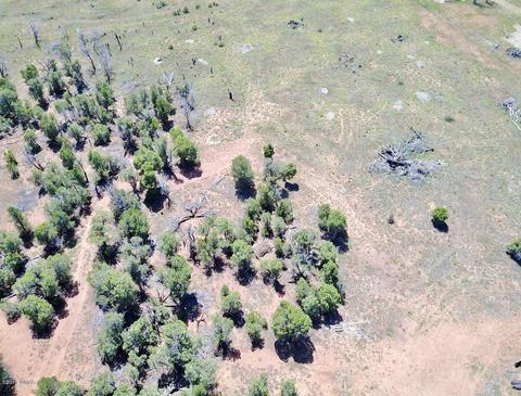 3551 Juniper Break Trl, Overgaard, AZ 85933 photo 12