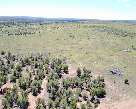 3551 Juniper Break Trl, Overgaard, AZ 85933 photo 7