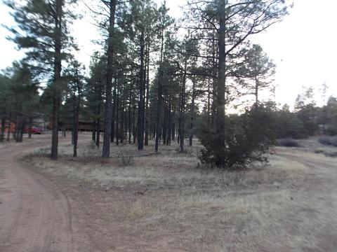 2260 Mulligan Dr, Overgaard, AZ 85933 photo 1
