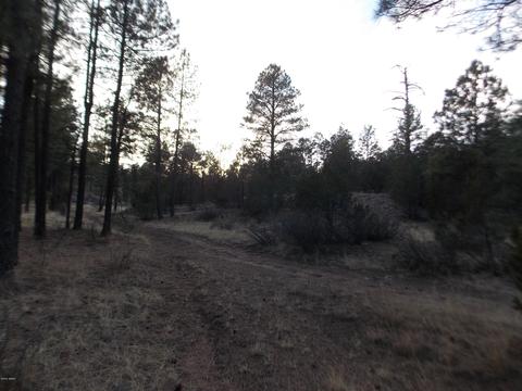 2260 Mulligan Dr, Overgaard, AZ 85933 photo 5