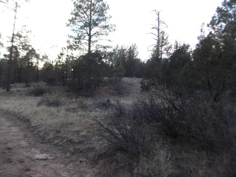 2260 Mulligan Dr, Overgaard, AZ 85933 photo 6