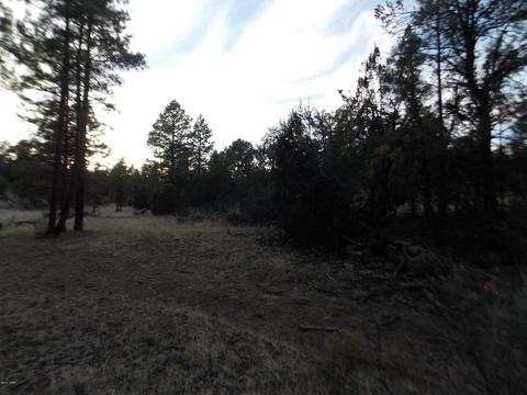 2260 Mulligan Dr, Overgaard, AZ 85933 photo 7