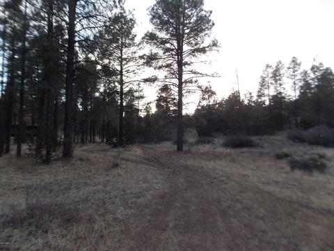 2260 Mulligan Dr, Overgaard, AZ 85933 photo 4