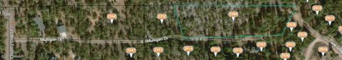 2260 Mulligan Dr, Overgaard, AZ 85933 photo 2