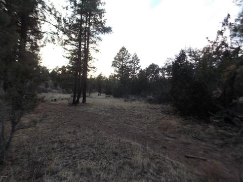 2260 Mulligan Dr, Overgaard, AZ 85933 photo 8
