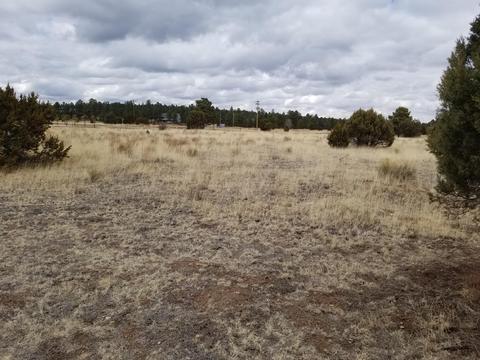 2282 Cabin Dr, Overgaard, AZ 85933 photo 6