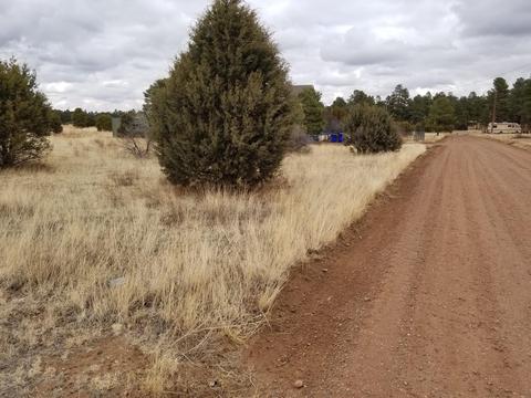 2282 Cabin Dr, Overgaard, AZ 85933 photo 5