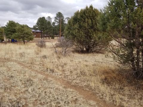 2282 Cabin Dr, Overgaard, AZ 85933 photo 3