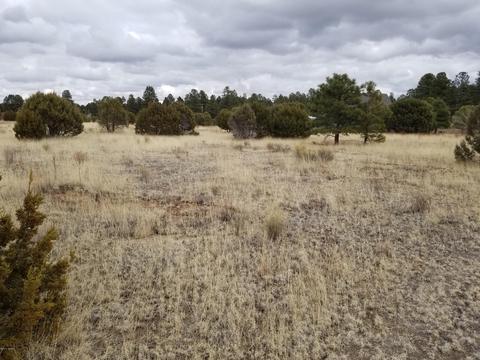 2282 Cabin Dr, Overgaard, AZ 85933 photo 7