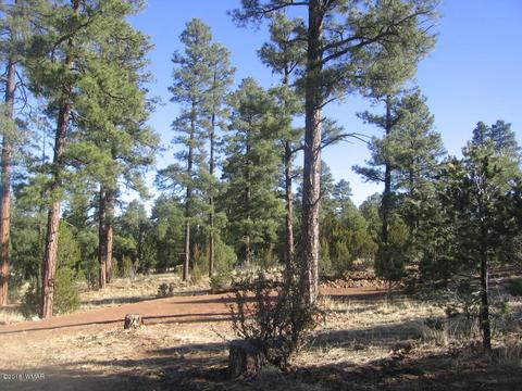 3042 Aspen Rd, Overgaard, AZ 85933 photo 1