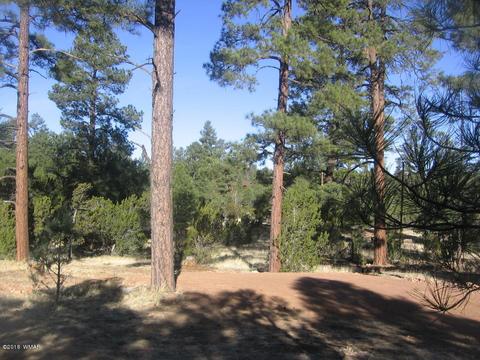 3042 Aspen Rd, Overgaard, AZ 85933 photo 11