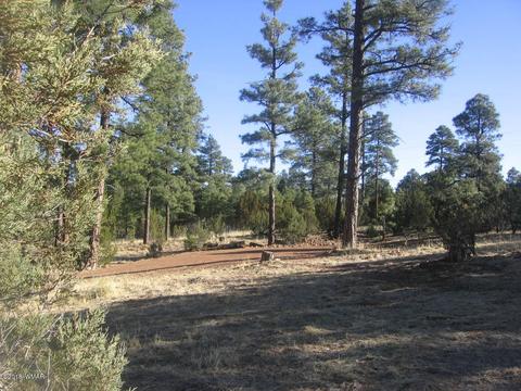 3042 Aspen Rd, Overgaard, AZ 85933 photo 5