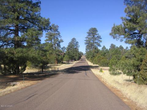 3042 Aspen Rd, Overgaard, AZ 85933 photo 22