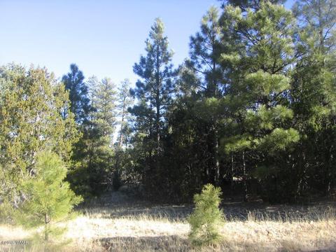 3042 Aspen Rd, Overgaard, AZ 85933 photo 19