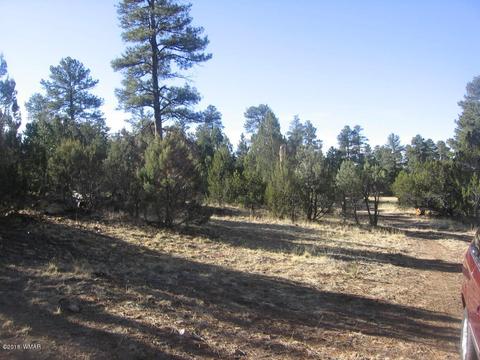 3042 Aspen Rd, Overgaard, AZ 85933 photo 4