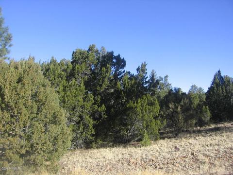 3042 Aspen Rd, Overgaard, AZ 85933 photo 17