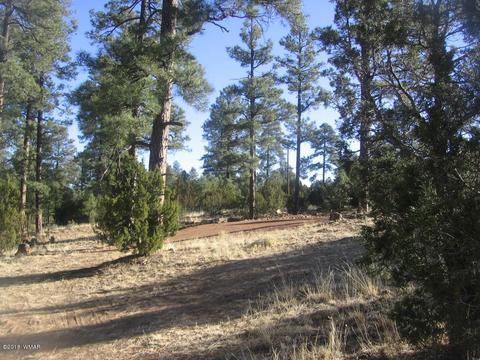 3042 Aspen Rd, Overgaard, AZ 85933 photo 3