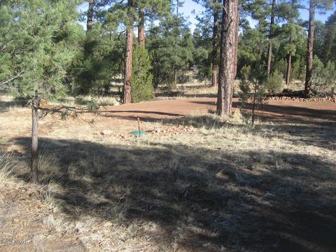 3042 Aspen Rd, Overgaard, AZ 85933 photo 9