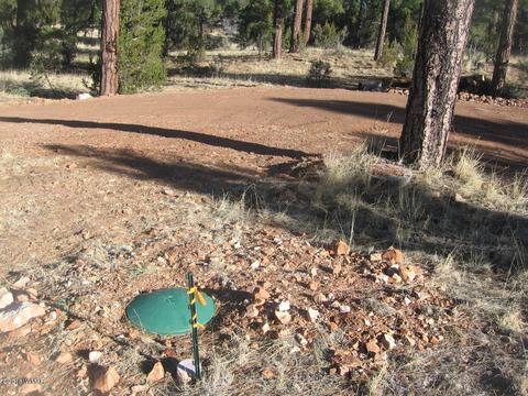 3042 Aspen Rd, Overgaard, AZ 85933 photo 12