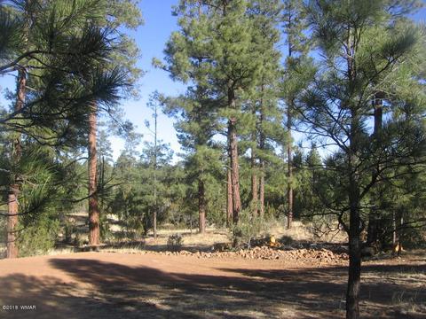 3042 Aspen Rd, Overgaard, AZ 85933 photo 10