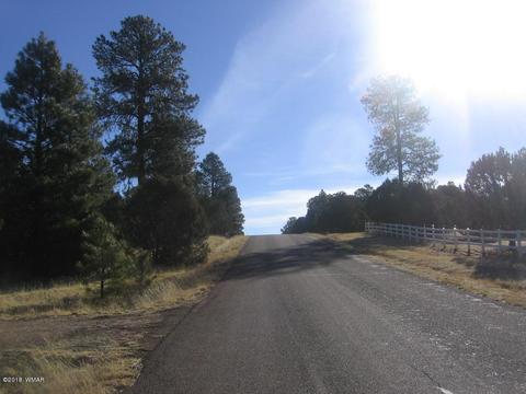 3042 Aspen Rd, Overgaard, AZ 85933 photo 15