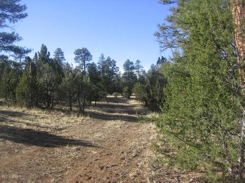 3042 Aspen Rd, Overgaard, AZ 85933 photo 13