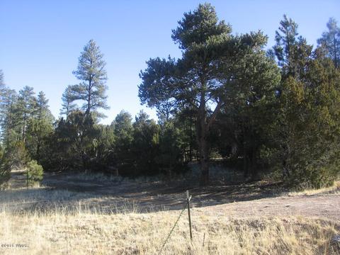 3042 Aspen Rd, Overgaard, AZ 85933 photo 16