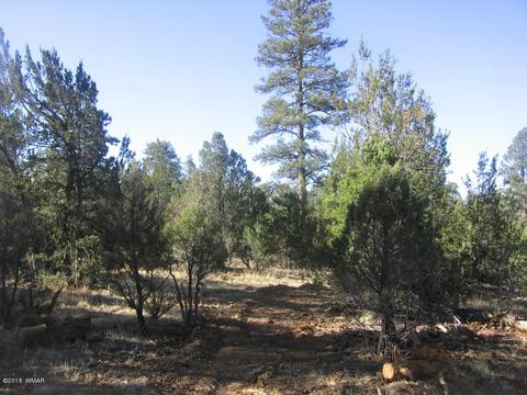 3042 Aspen Rd, Overgaard, AZ 85933 photo 8