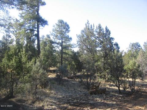 3042 Aspen Rd, Overgaard, AZ 85933 photo 7