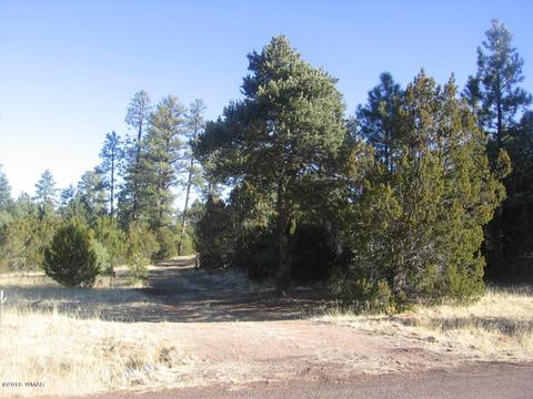 3042 Aspen Rd, Overgaard, AZ 85933 photo 20