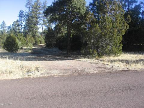 3042 Aspen Rd, Overgaard, AZ 85933 photo 21