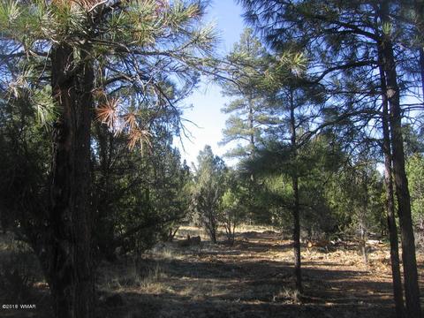 3042 Aspen Rd, Overgaard, AZ 85933 photo 2