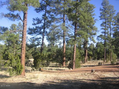 3042 Aspen Rd, Overgaard, AZ 85933 photo 6