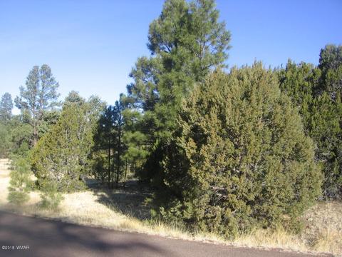 3042 Aspen Rd, Overgaard, AZ 85933 photo 18