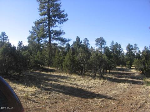 3042 Aspen Rd, Overgaard, AZ 85933 photo 14