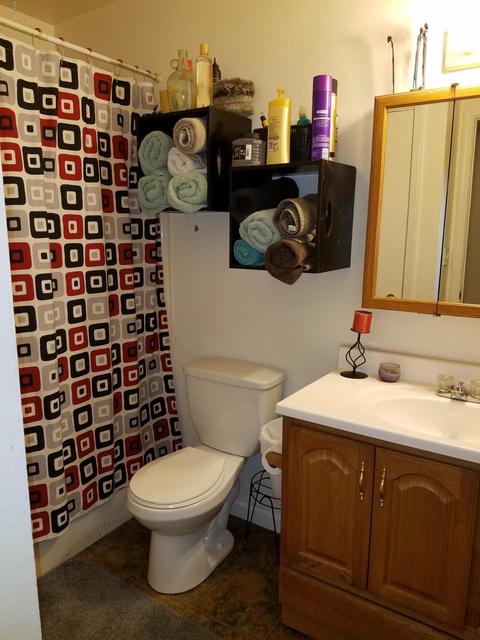 715 E Chiricahua Trl, Springerville, AZ 85938 photo 14